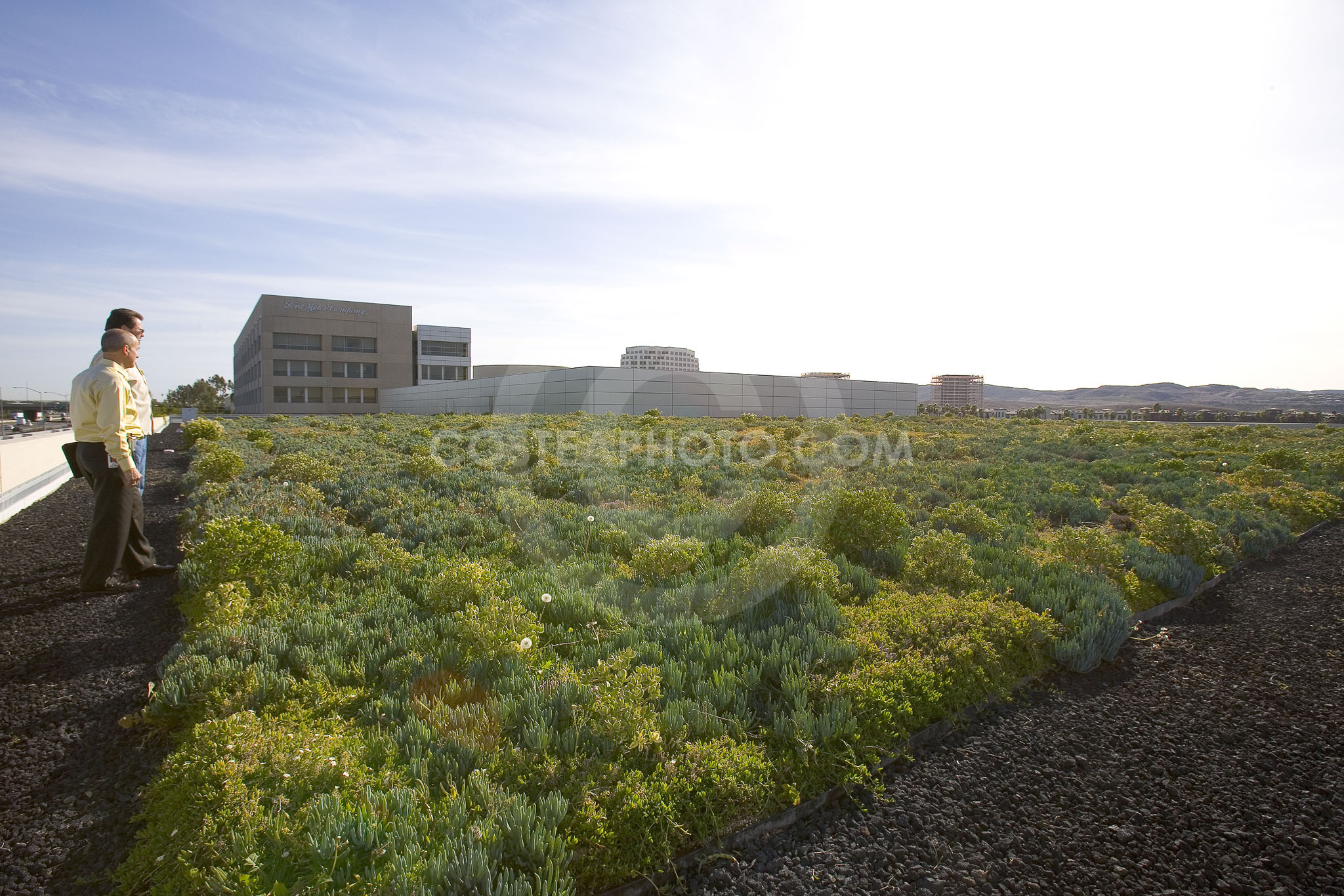 PAG Green Roof 051