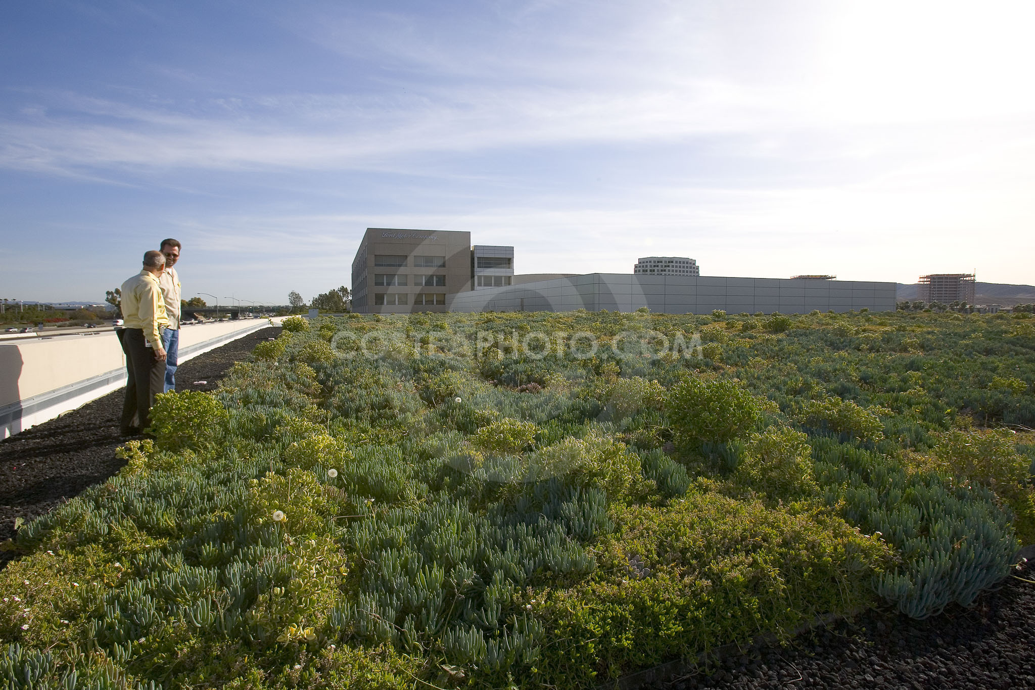 PAG Green Roof 052