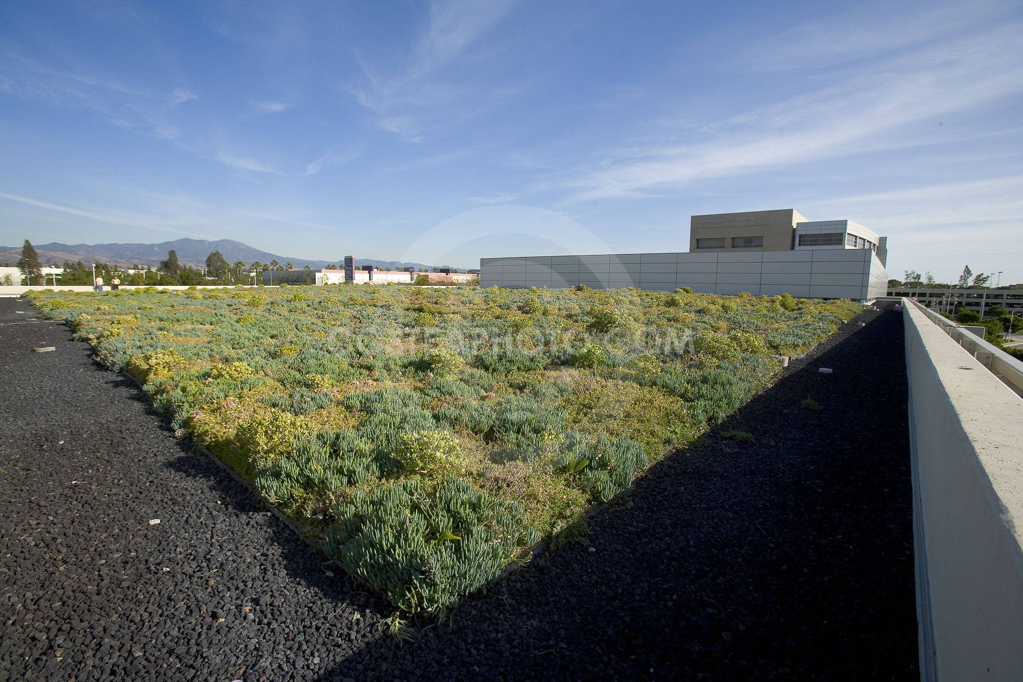 PAG Green Roof 055