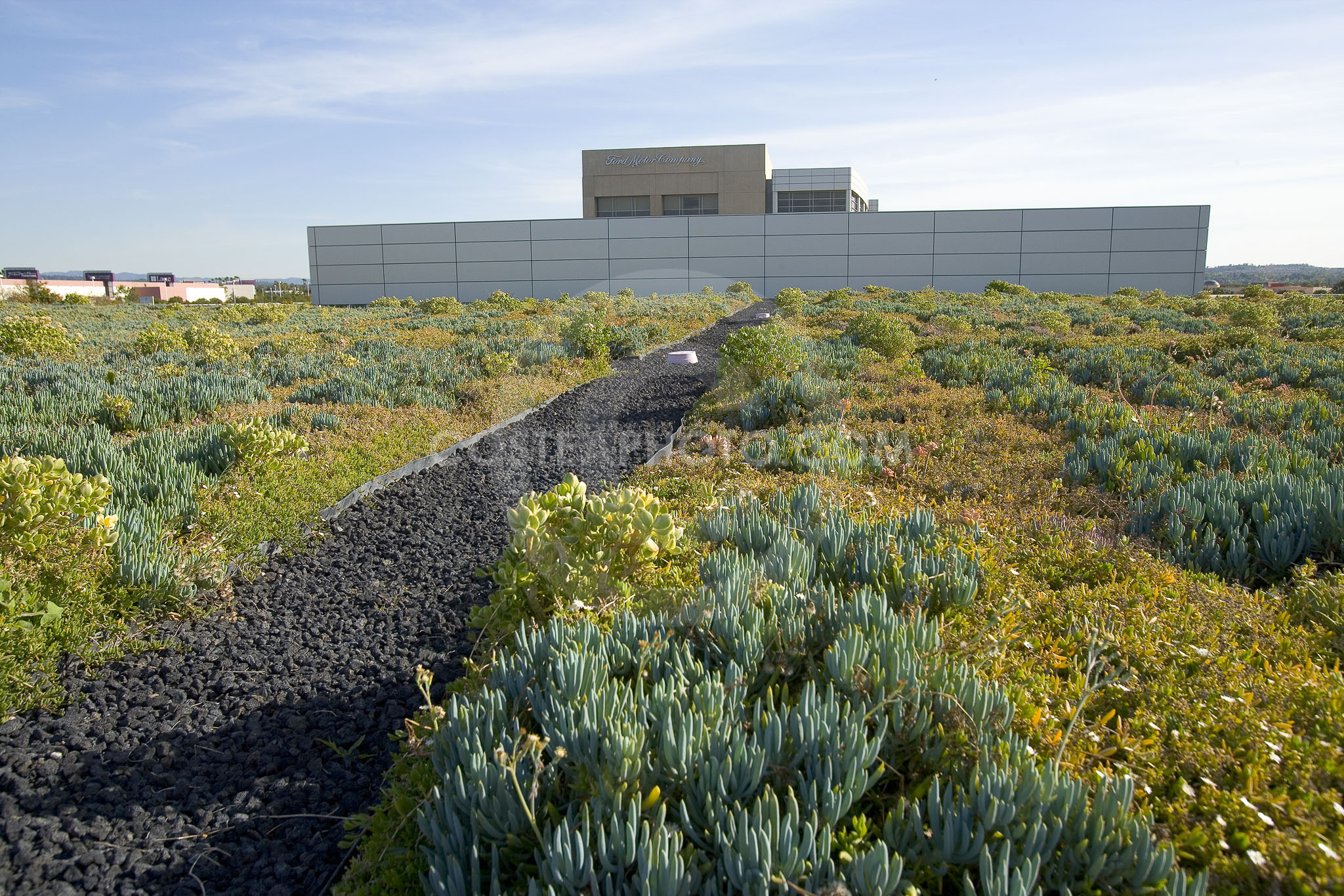 PAG Green Roof 056