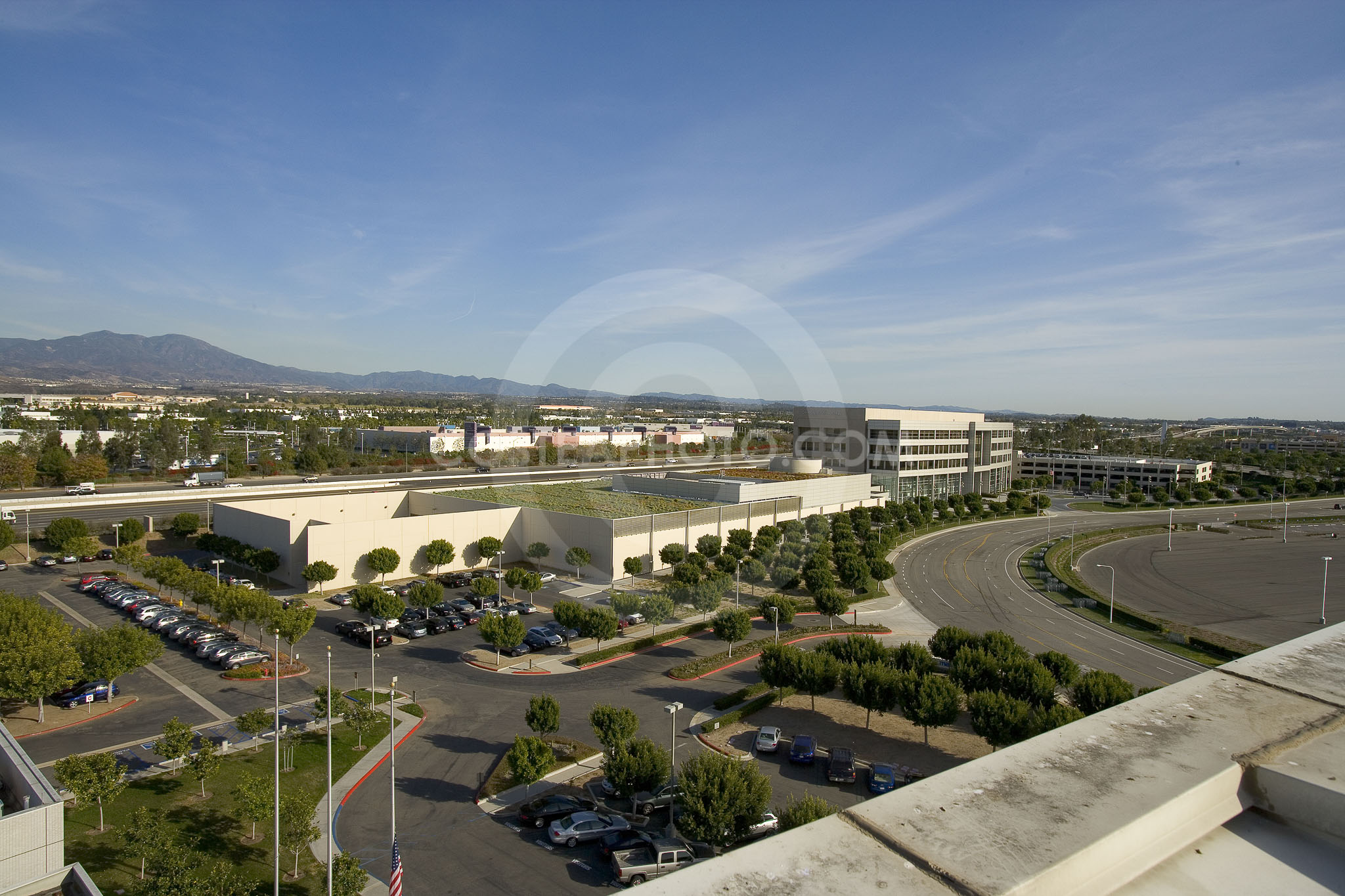 PAG Green Roof 060