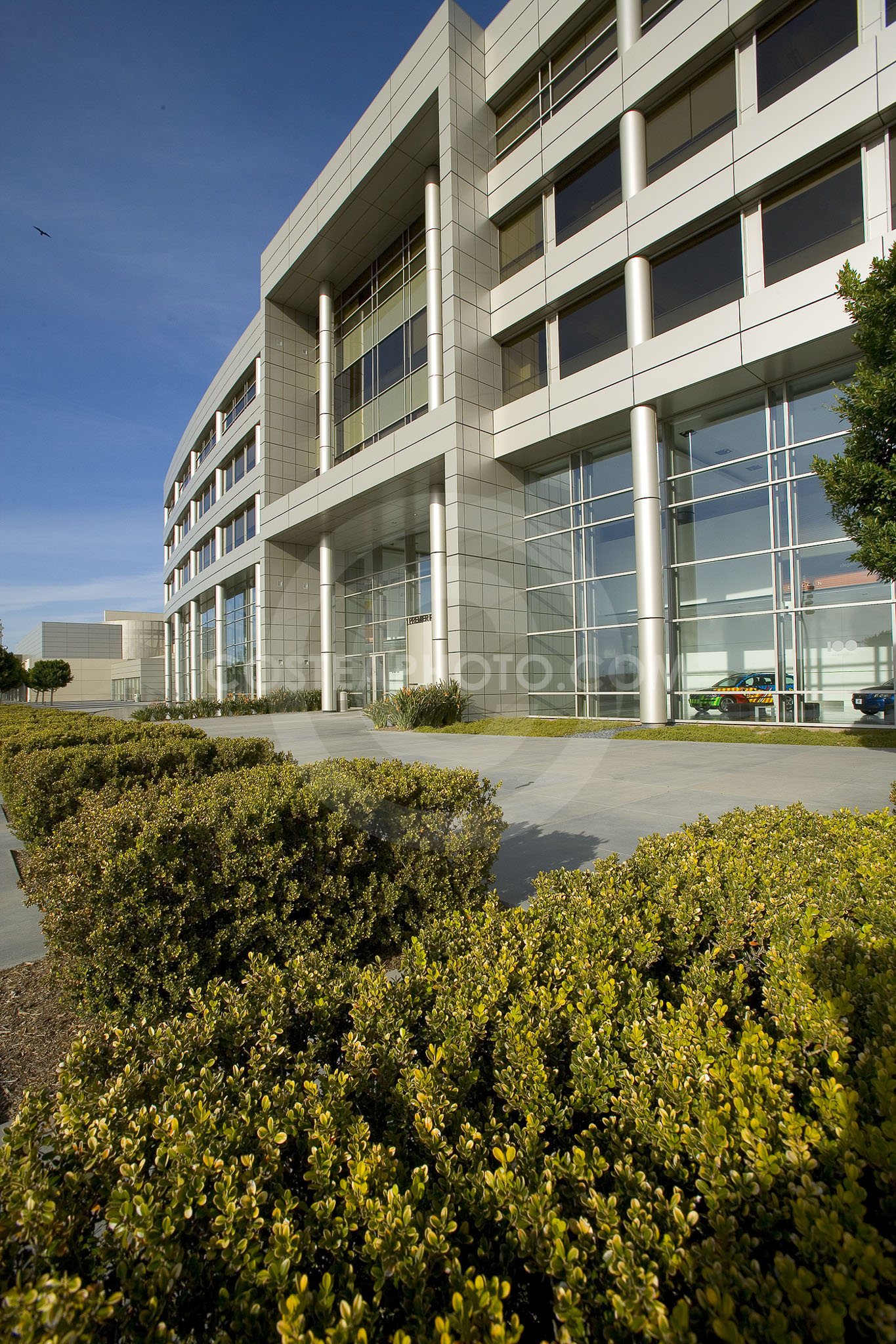 PAG Green Roof 067