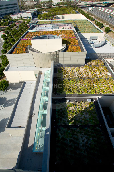 PAG-Green-Roof-001.JPG