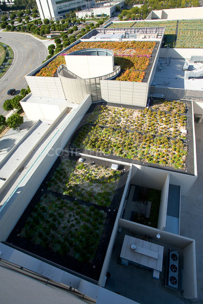 PAG-Green-Roof-003.JPG
