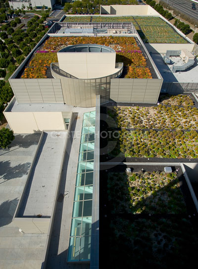 PAG-Green-Roof-007.JPG