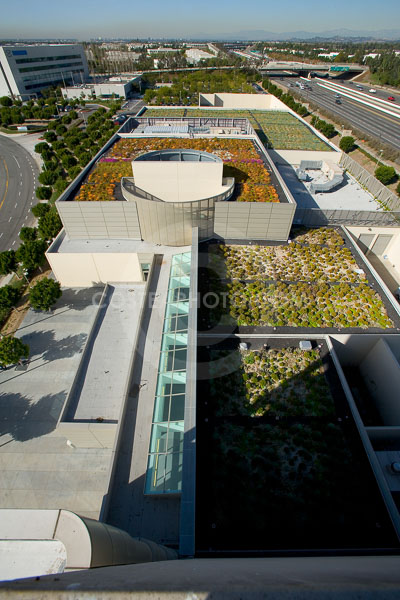 PAG-Green-Roof-008.JPG