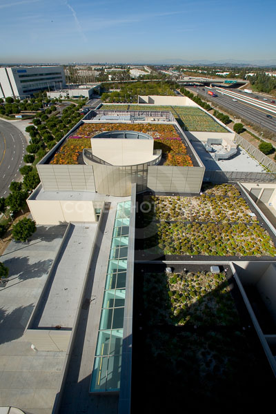 PAG-Green-Roof-009.JPG