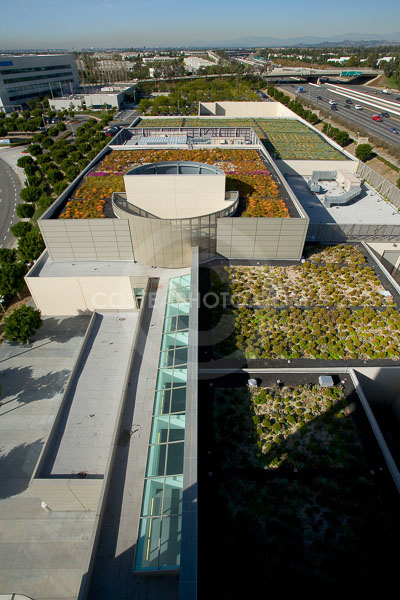 PAG-Green-Roof-010.JPG