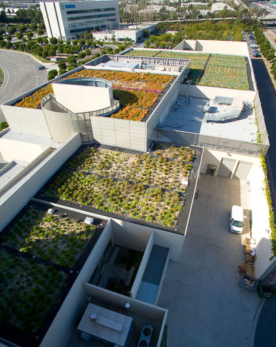 PAG-Green-Roof-013.JPG