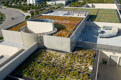 PAG-Green-Roof-014.JPG