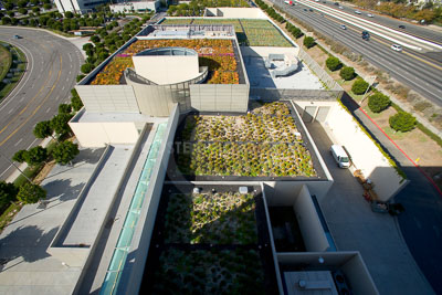 PAG-Green-Roof-016.JPG