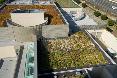 PAG-Green-Roof-018.JPG