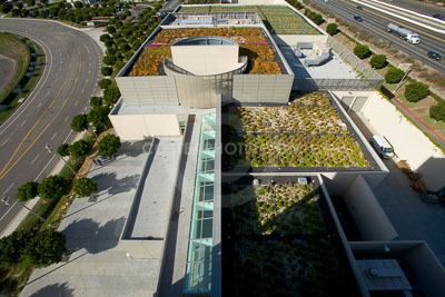 PAG-Green-Roof-020.JPG