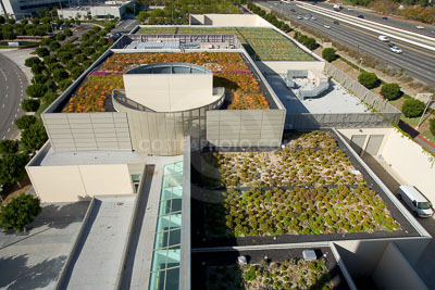 PAG-Green-Roof-022.JPG