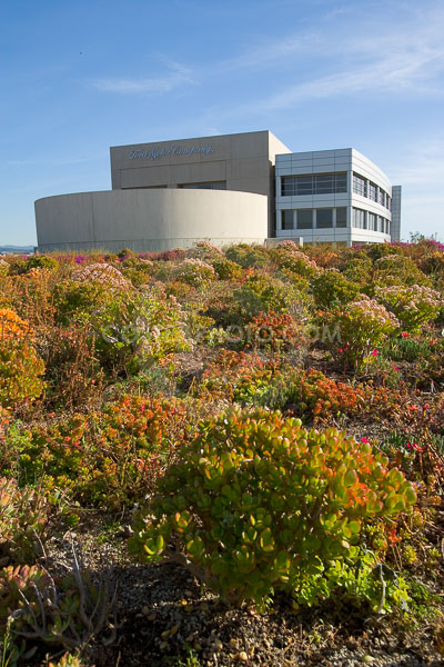 PAG-Green-Roof-030.JPG