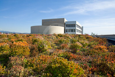 PAG-Green-Roof-033.JPG