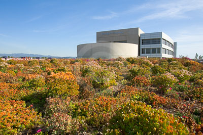 PAG-Green-Roof-034.JPG