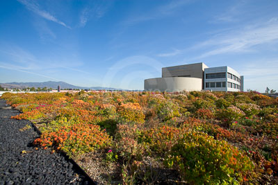 PAG-Green-Roof-035.JPG