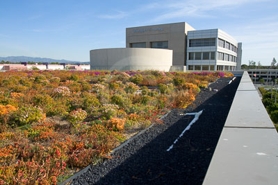 PAG-Green-Roof-041.JPG