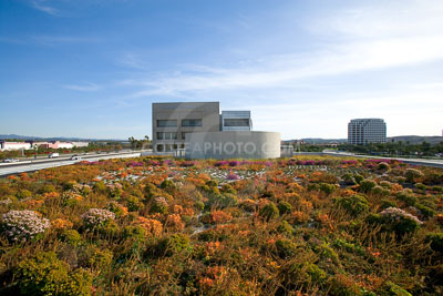 PAG-Green-Roof-043.JPG