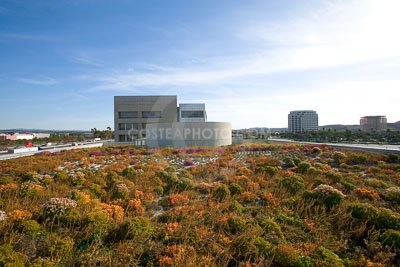 PAG-Green-Roof-044.JPG