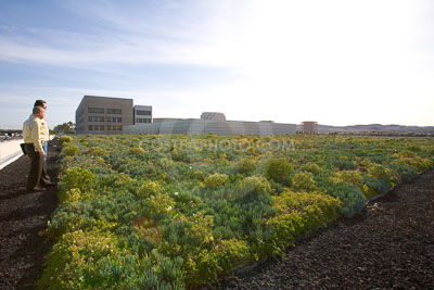 PAG-Green-Roof-051.JPG