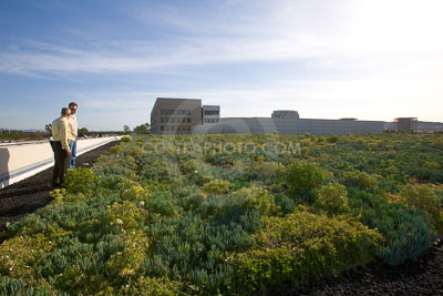 PAG-Green-Roof-052.JPG