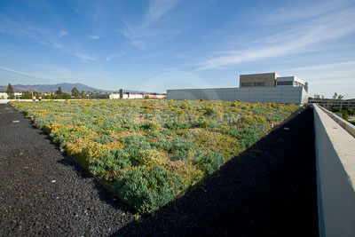 PAG-Green-Roof-055.JPG