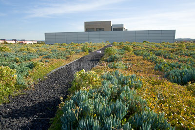 PAG-Green-Roof-056.JPG