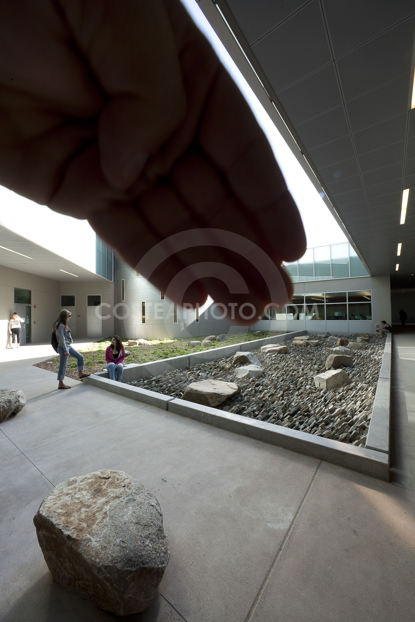 (111) _MG_8611