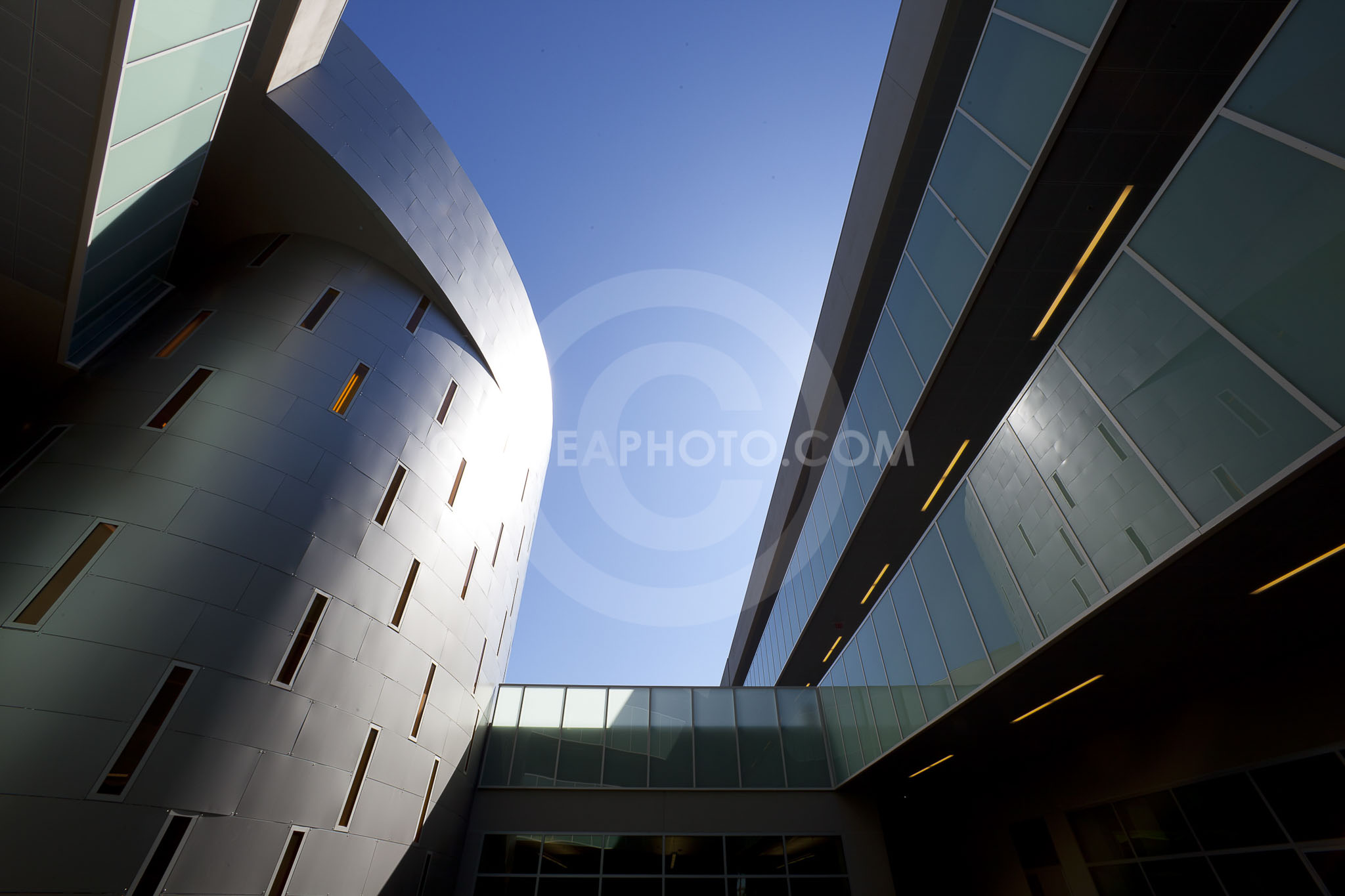 (237) _MG_8692