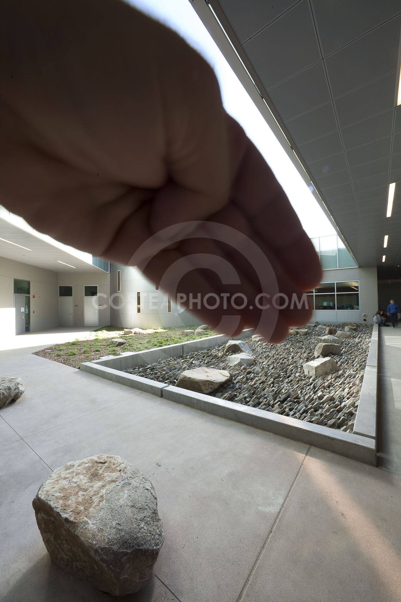 (390) _MG_8594