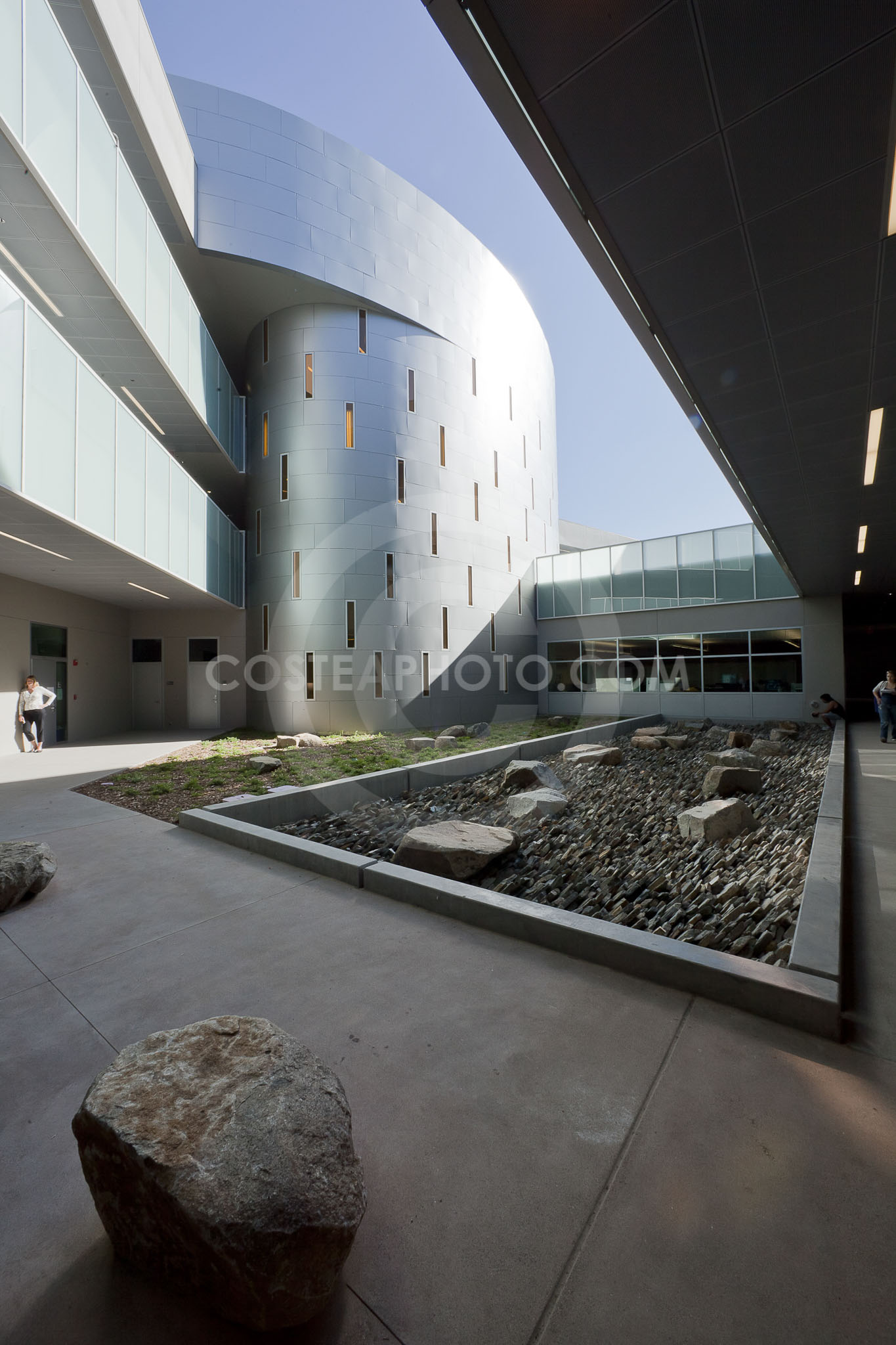 (392) _MG_8614