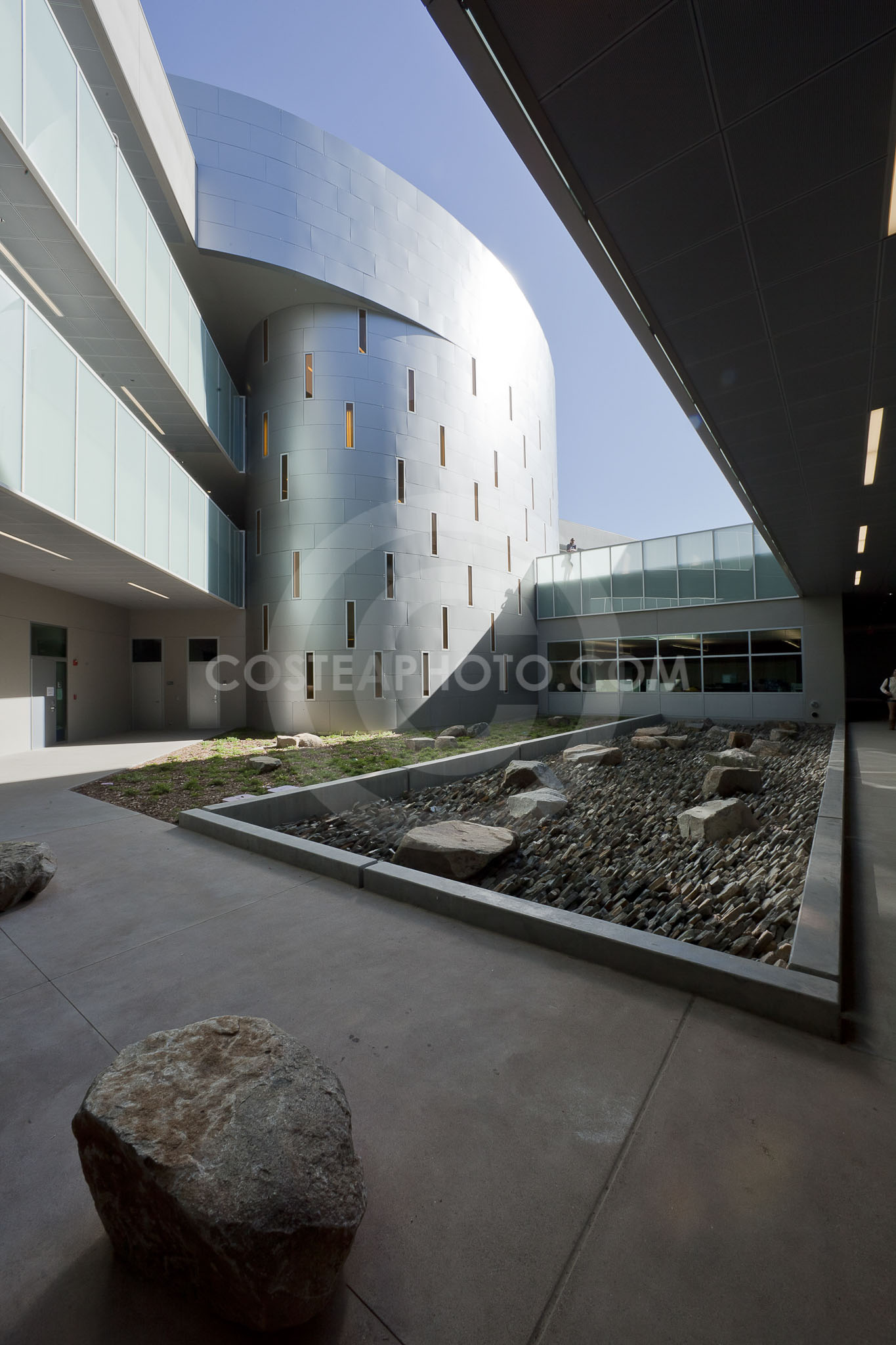 (393) _MG_8628