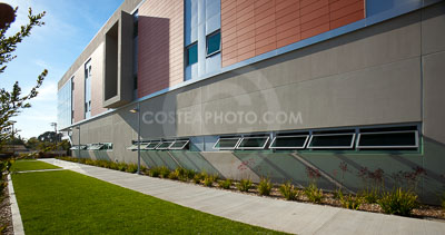 (070)-_MG_7398-(2).JPG