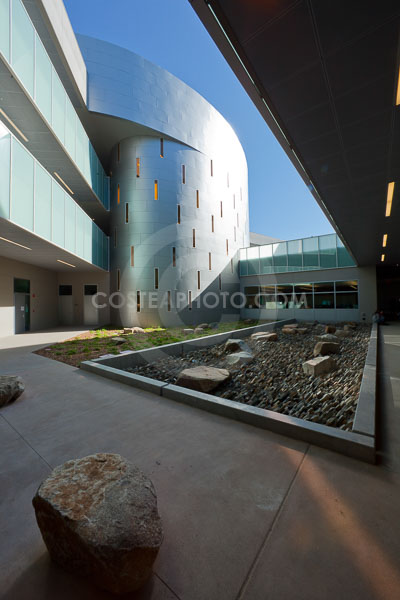 (109)-_MG_8585.JPG