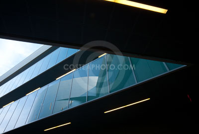 (233)-_MG_7432-(2).JPG