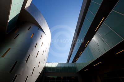 (237)-_MG_8692.JPG