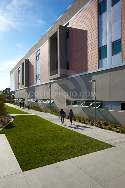 (331)-_MG_7389-(2).JPG