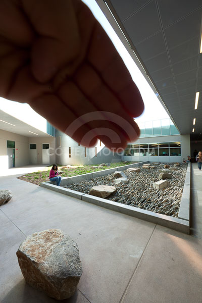 (391)-_MG_8608.JPG