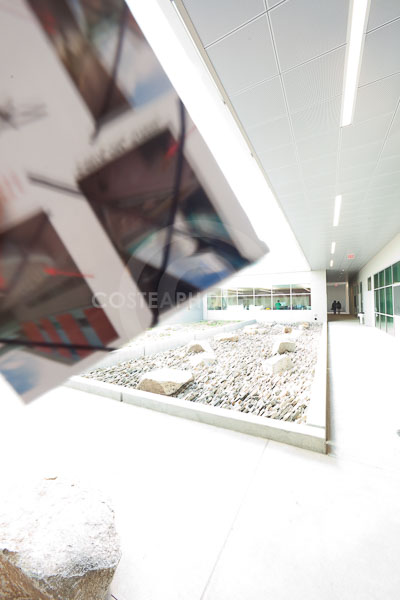 (395)-_MG_8654.JPG