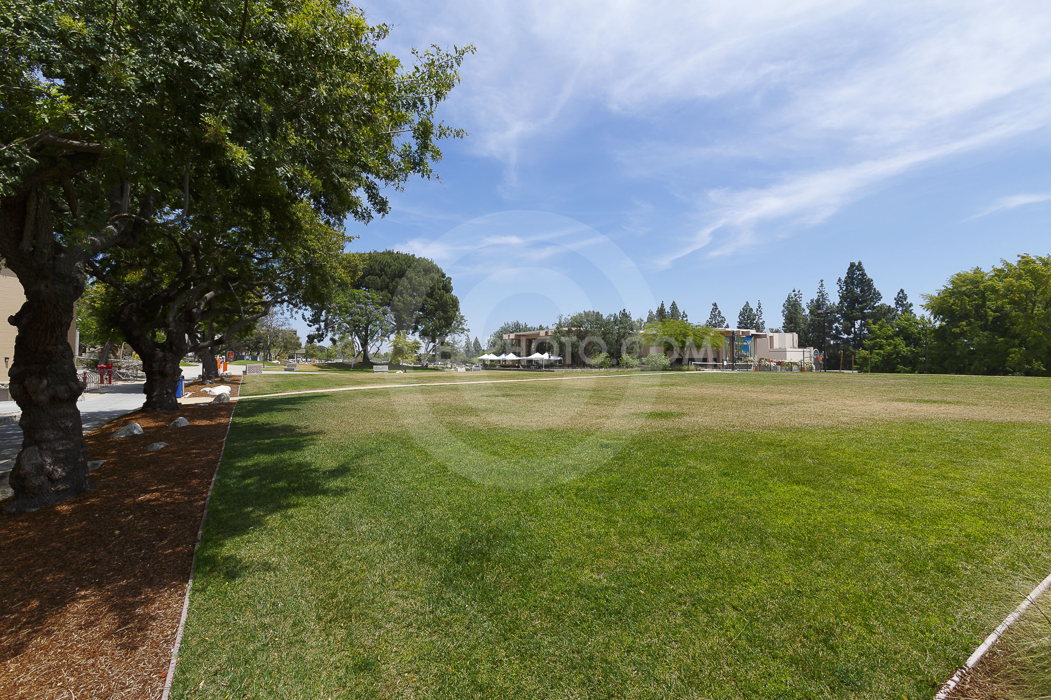 (093) _T8A0802
