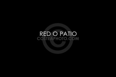 (050)-RED-O-PATIO.JPG