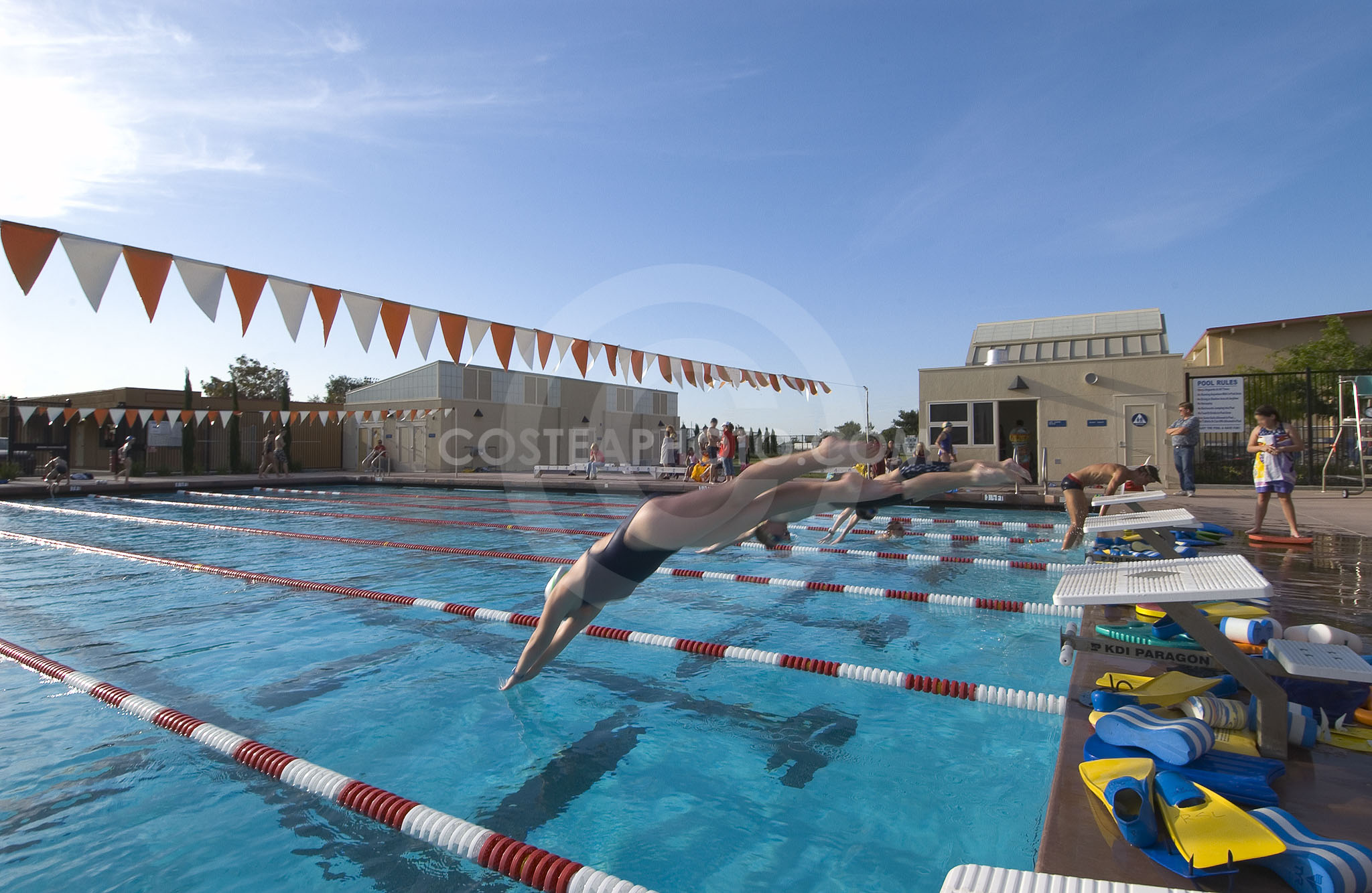 Girl Diving