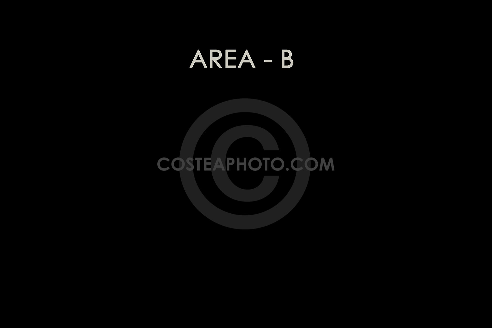 (007) AREA -B-