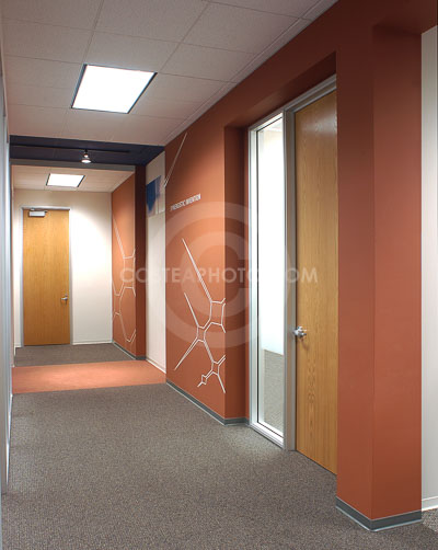 Coffe-color-hallway-2-Layered-MASTER.JPG