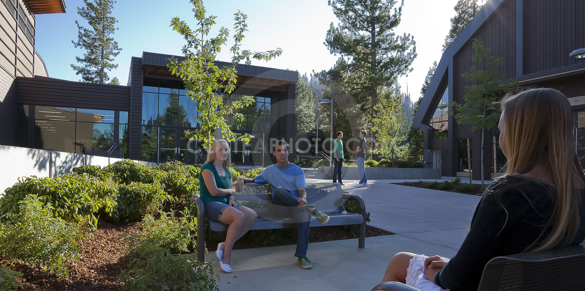 (166) _MG_3781