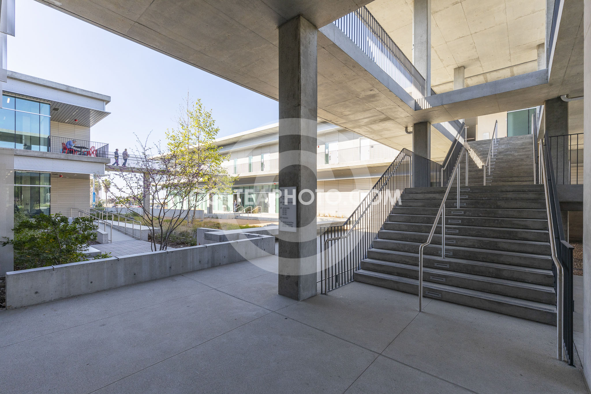 (134) _AM12875