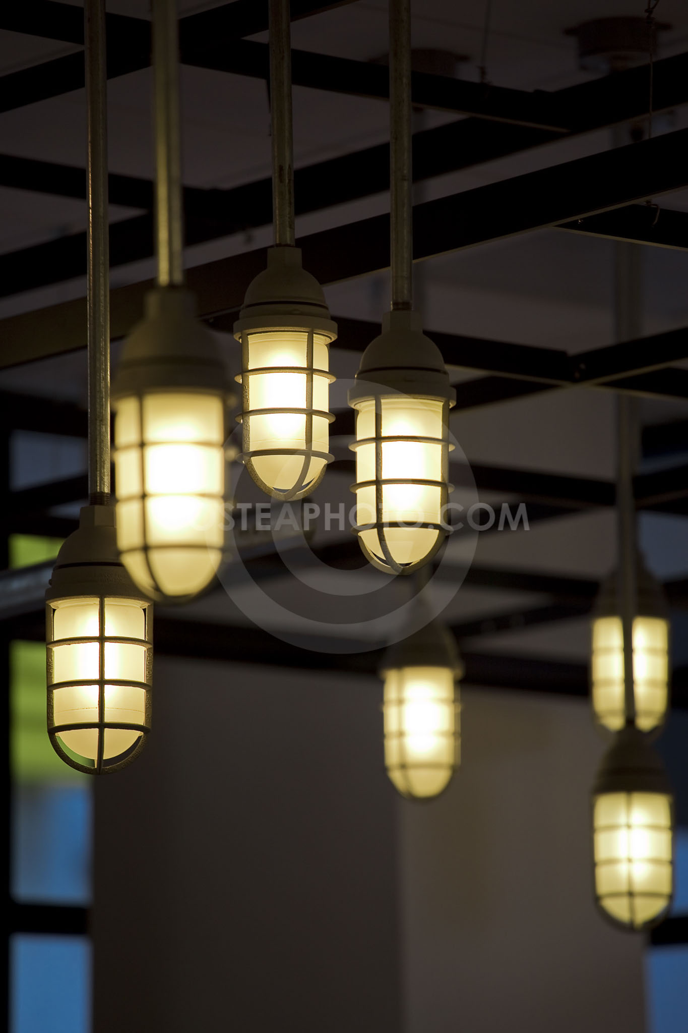 (200) _MG_7271
