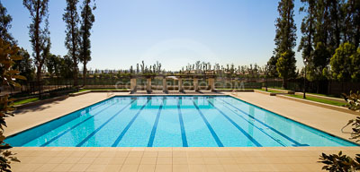 COMPETITION-POOL-001.JPG
